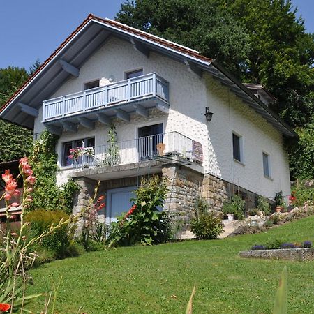 Ferienwohnung Regentalblick Miltach Zewnętrze zdjęcie