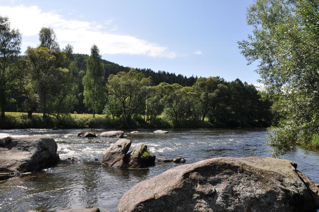 Ferienwohnung Regentalblick Miltach Zewnętrze zdjęcie