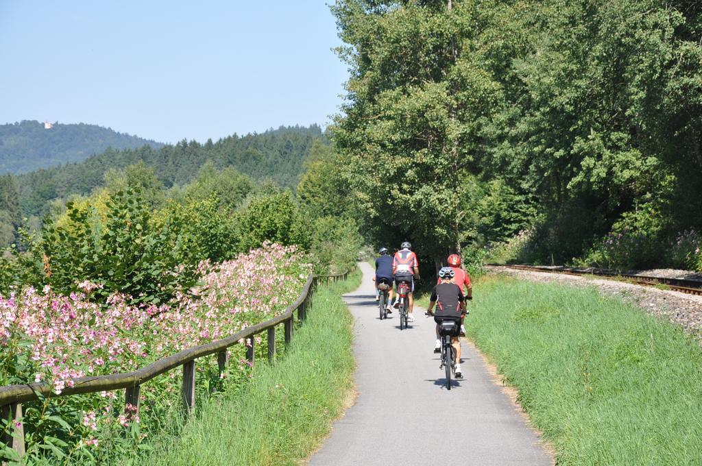 Ferienwohnung Regentalblick Miltach Zewnętrze zdjęcie
