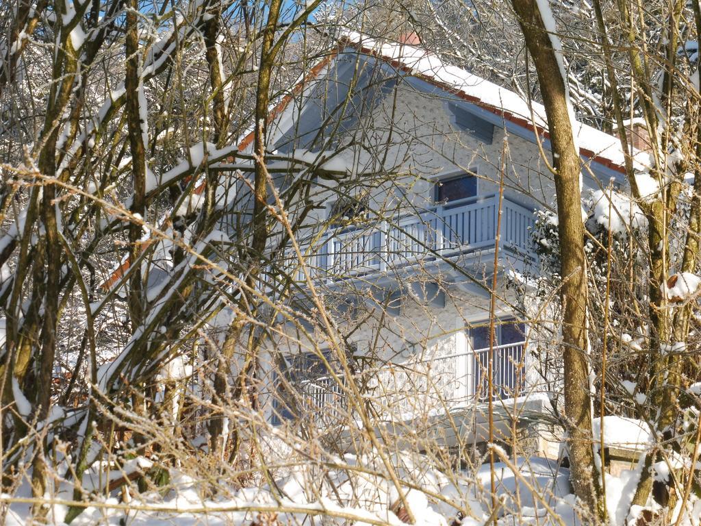 Ferienwohnung Regentalblick Miltach Zewnętrze zdjęcie