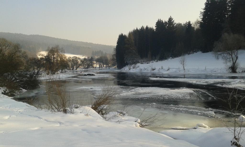 Ferienwohnung Regentalblick Miltach Zewnętrze zdjęcie
