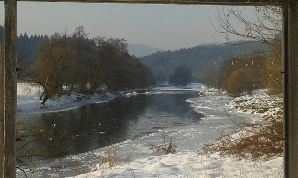 Ferienwohnung Regentalblick Miltach Zewnętrze zdjęcie